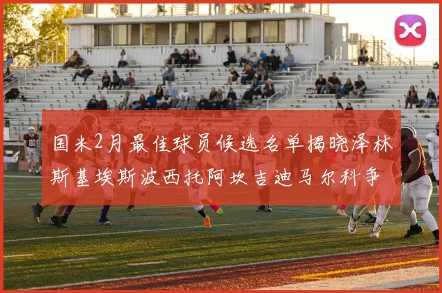 国米2月最佳球员候选名单揭晓泽林斯基埃斯波西托阿坎吉迪马尔科争夺荣誉